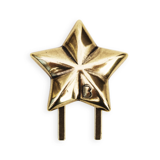 BAUMONDI - Vendita all'ingrosso Gioielli per scarpe - Donna - Golden Star - Gioielli per scarpe - Sneaker Bug3