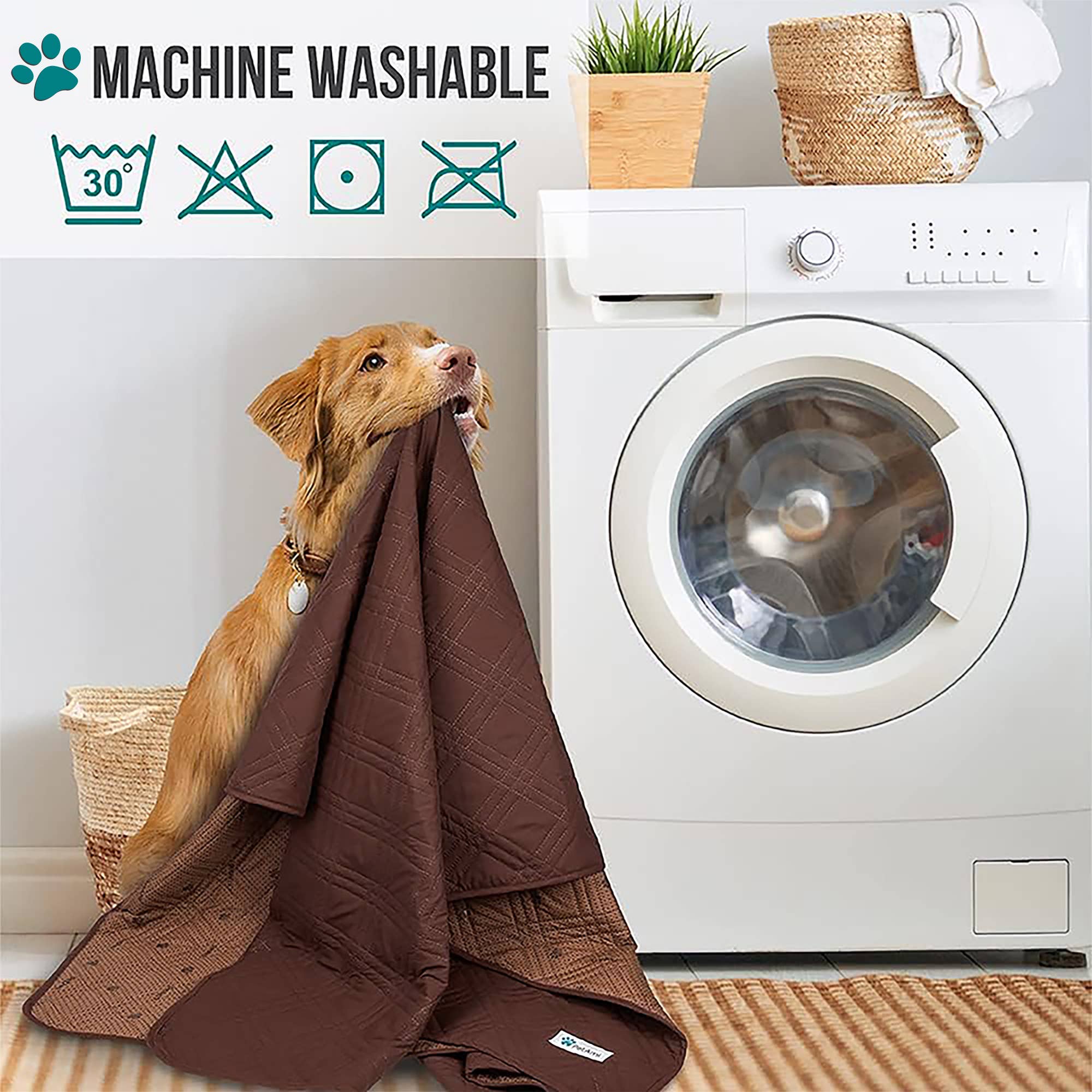 PetAmi - Vente Couverture – chat et chien - Housse de canapé imperméable pour animaux de compagnie17