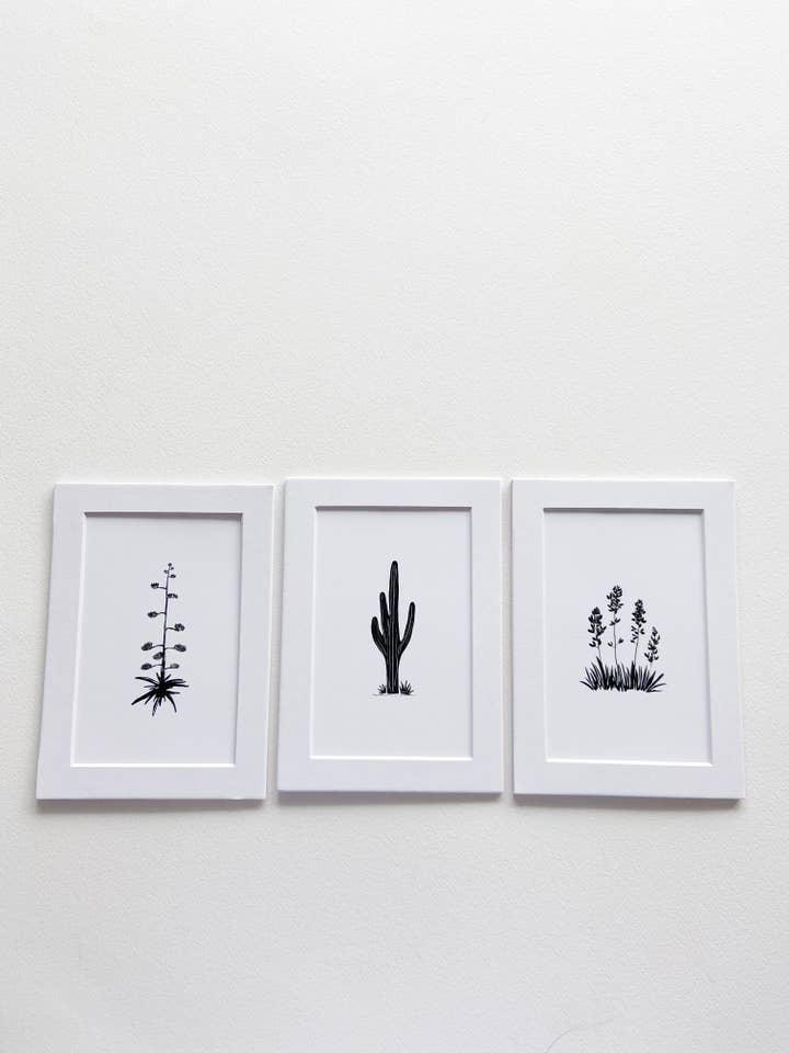 Desert Plants Print Pack for wholesale by Daley Kaye Studio