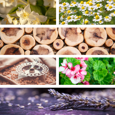 Temple of Life Oils & Perfumes - Wholesale Essential Oil Roll-On - Essential Oil Roll On | Tranquilo | Women's Blend | Calming3