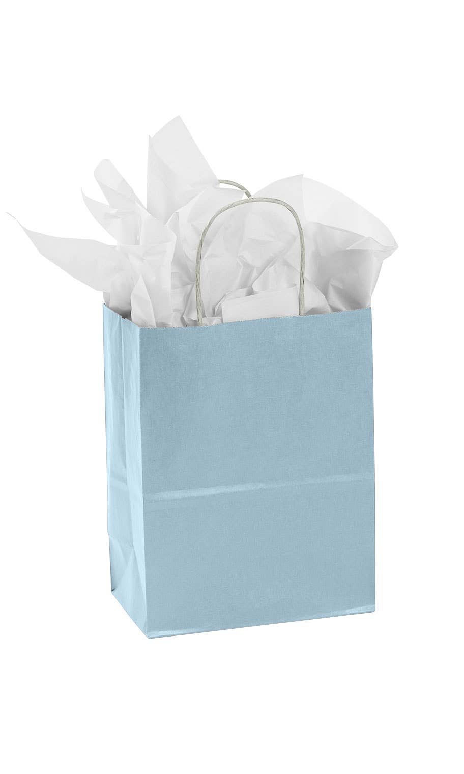 Store Supply Warehouse - Wholesale Gift Bag - Colorful Kraft Paper Shopping Bags15
