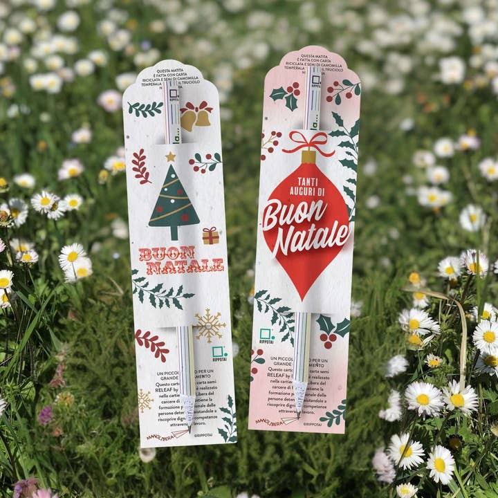 Crayons de Noël à planter avec graines de camomille — Ensemble de 2 en papier de solidarité Releaf pour la vente par Rippotai