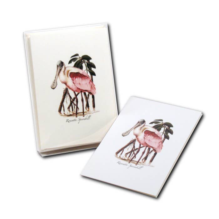 Earth Sky + Water - Wholesale Stationery/Notecard Set - Roseate Spoonbill2