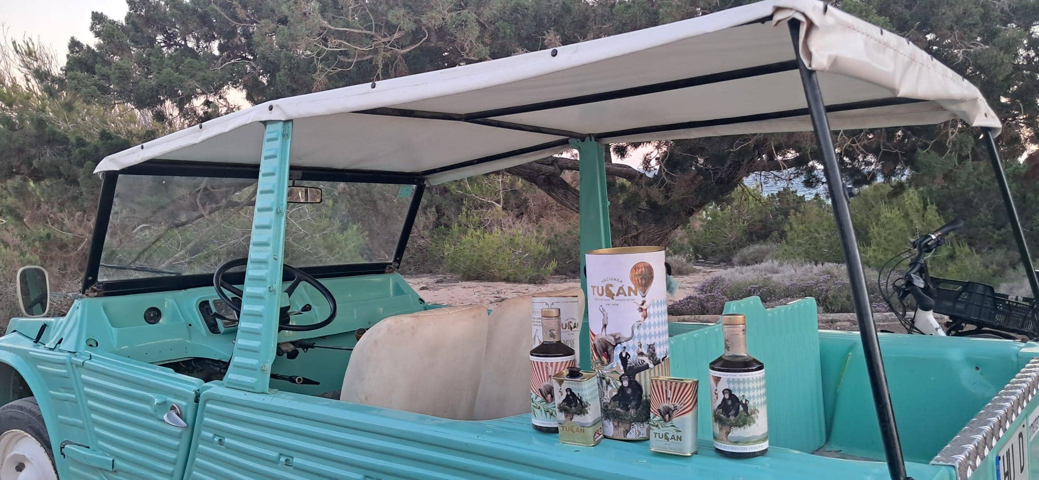 Hacienda Tucán - Wholesale Olive Oil - Box of 12 cans 250ml of extra virgin picual olive oil1