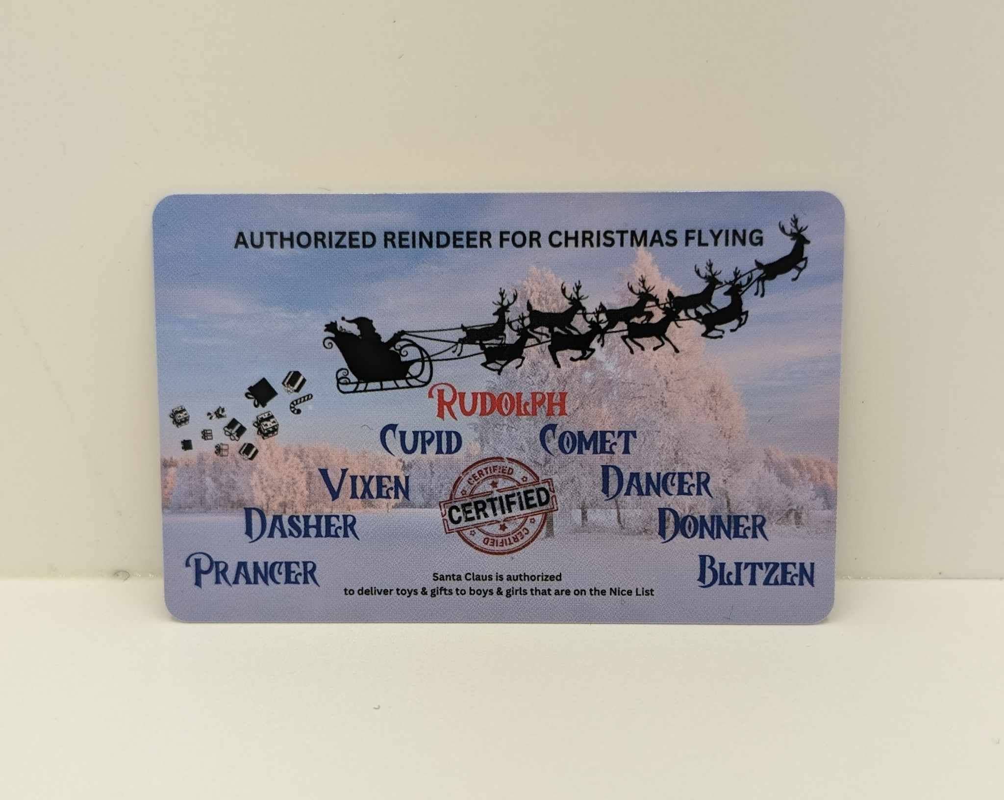 Snowfall Ridge LLC Accessories - Wholesale Christmas Decoration - Kids & Baby - White Santa's Flying License1