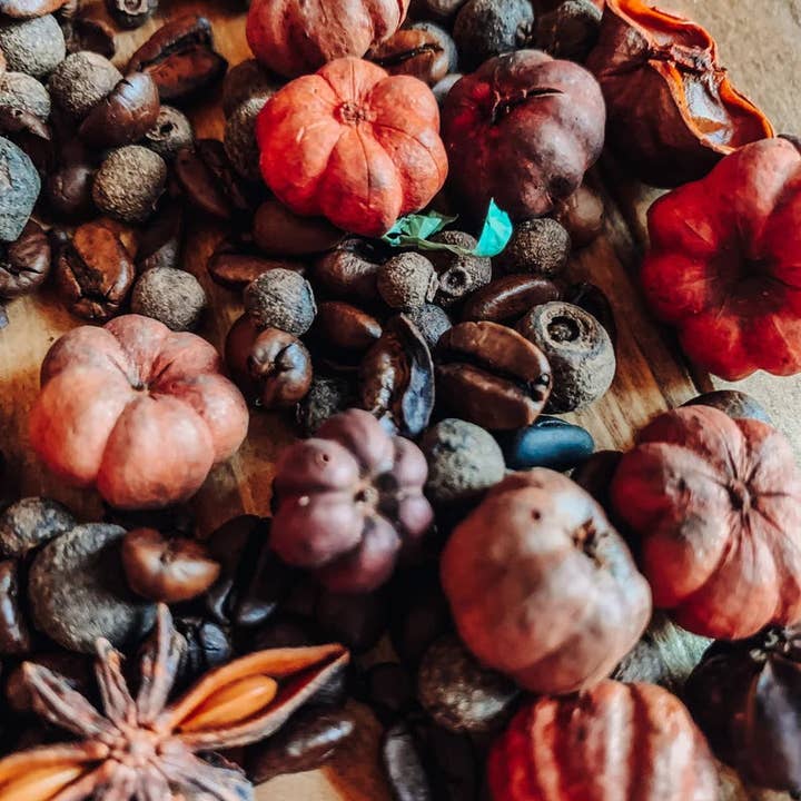 The Coppered Fern - Wholesale Potpourri - Pumpkin Spice Latte Simmer Potpourri
