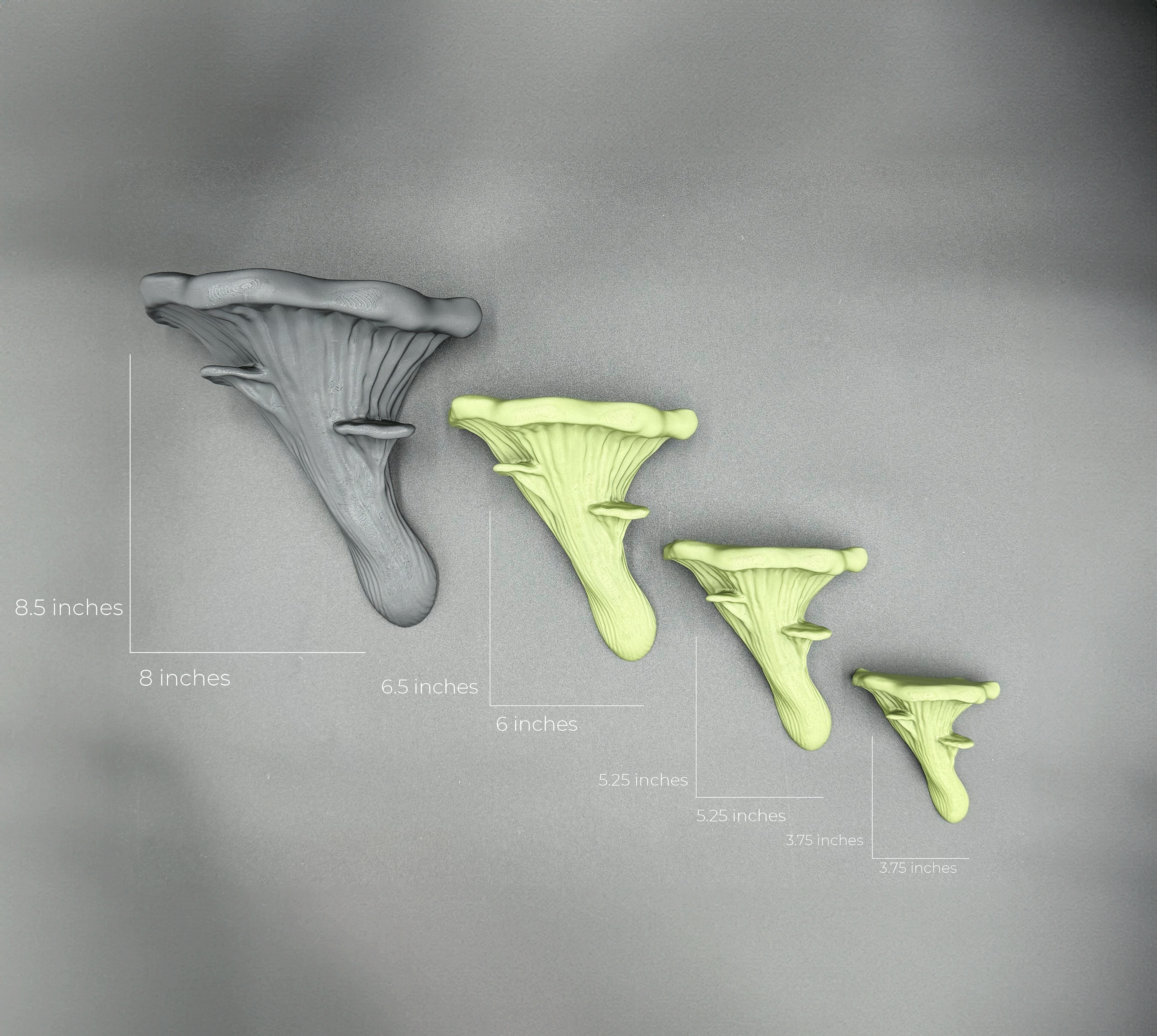 Brehmwood Creative - Wholesale Wall Mounted Shelf - Oyster Fungi Floating Shelf - Unique Mushroom Decor with 20 Color Options for Any Room1