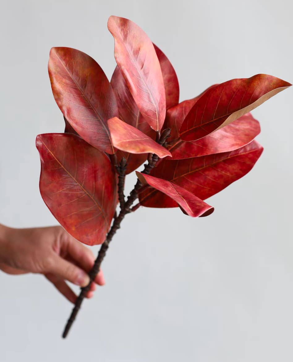 Angel Isabella - Vente Fleurs artificielles - Tige de magnolia ultra réaliste Real Touch de 22" - 10 feuilles8