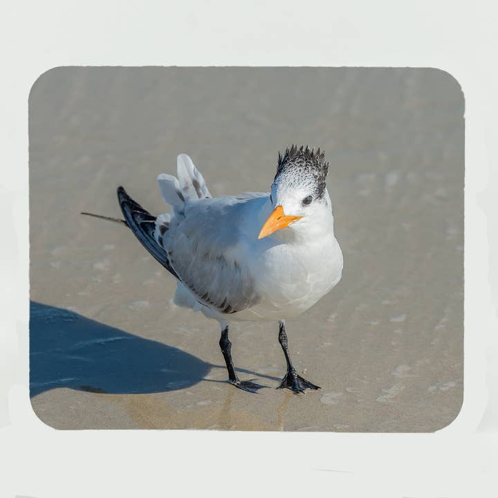 Mouse Pad-Royal Turn for wholesale by Mike Ring Photography