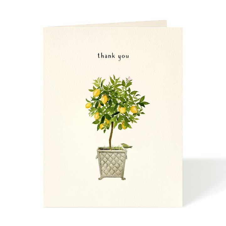 Felix Doolittle - Wholesale Thank You Card - Lemon Topiary - Thank You Card