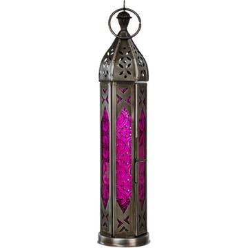 05227 lantern dragonfly 05227 lantern dragonfly