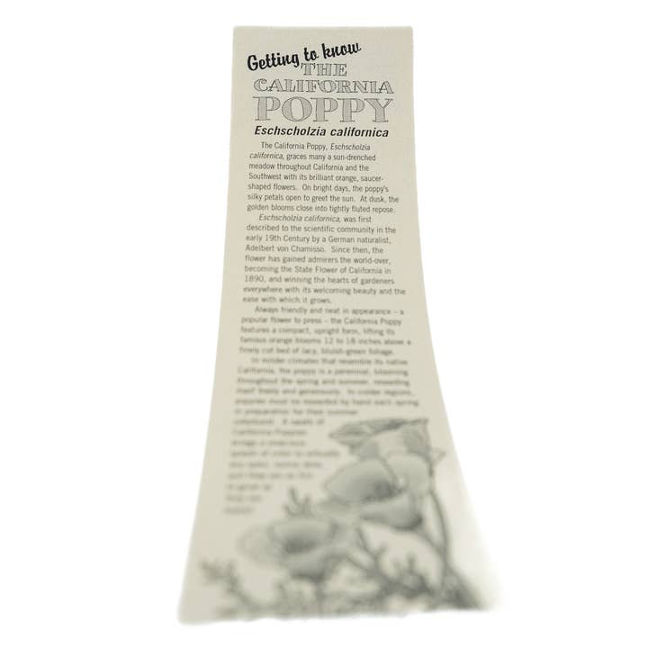 The Jonsteen Company - Wholesale Plant Seeds - California Poppy | Seed Grow Kit