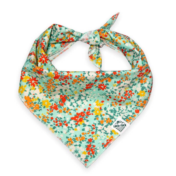 Brandi Hundehalstuch für den Großhandel von LUCK OF TUCK