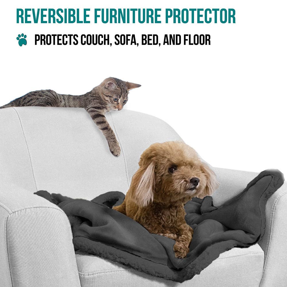 PetAmi - Vente Couverture – chat et chien - Couverture pour animaux en polaire réversible43