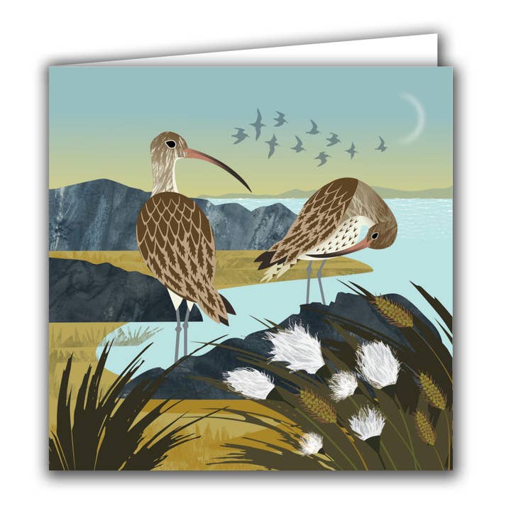 Silver Birch Cards - Wholesale Everyday Greeting Card - Blank Greeting Card - 'Curlews and Cotton Grass'