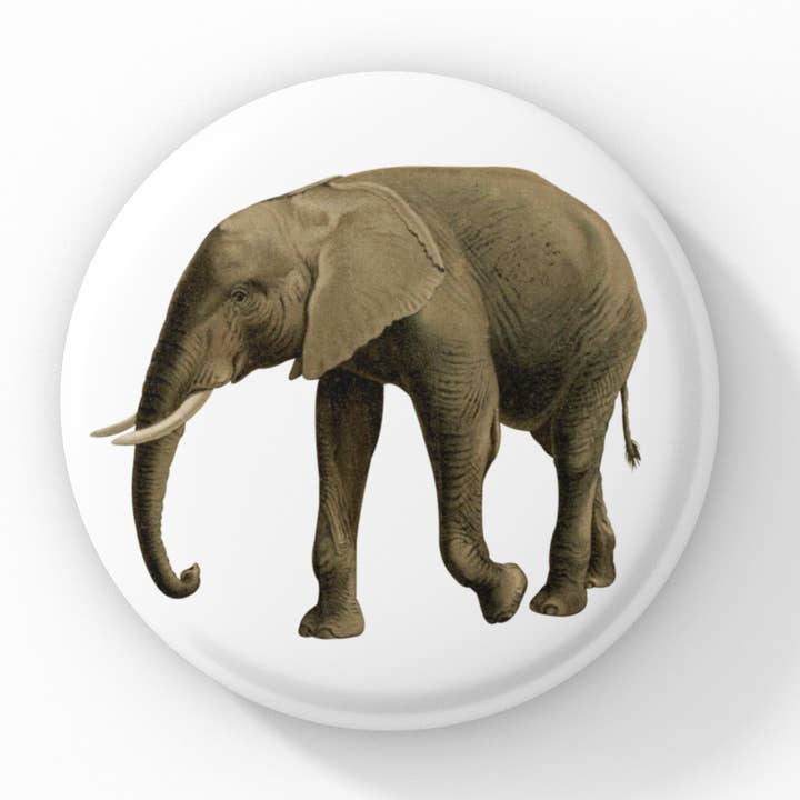 Elephant Pin Button, Elephant Keychain, Elephant Magnet for wholesale by NatureCuts