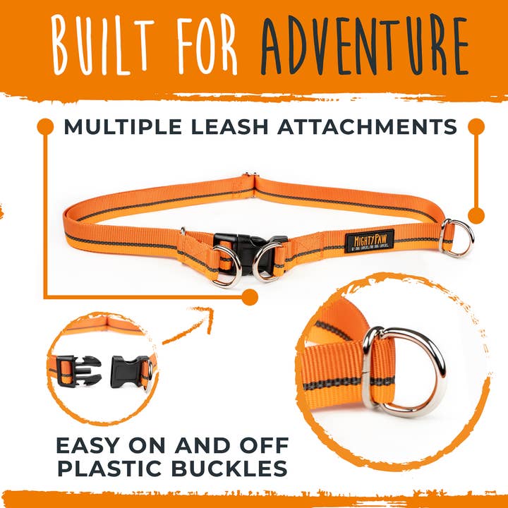 Mighty Paw - Wholesale Pet Leash - Dog - Hands Free Bungee Leash 2.016