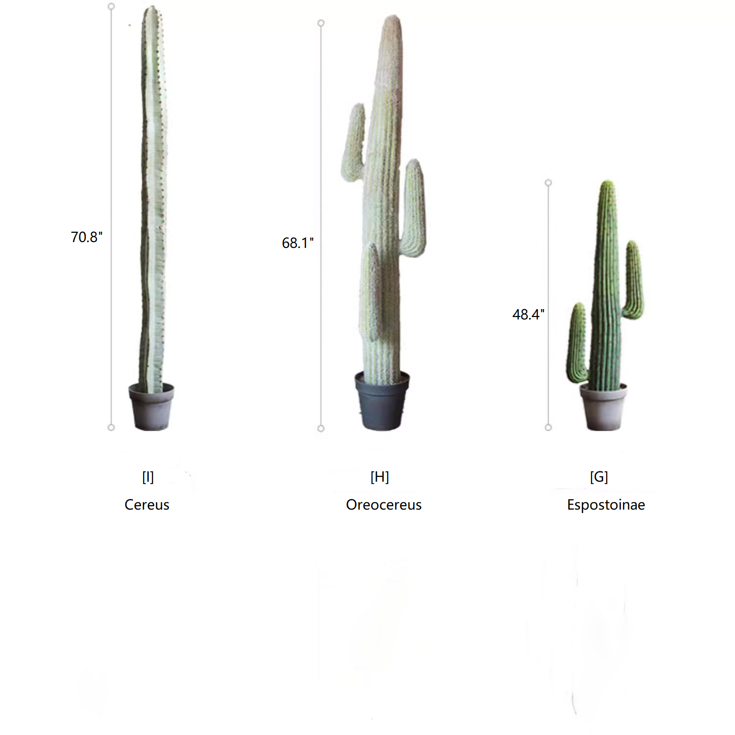 Rustic Reach - Wholesale Artificial Plant - Artificial Cactus in Pot Various Styles2