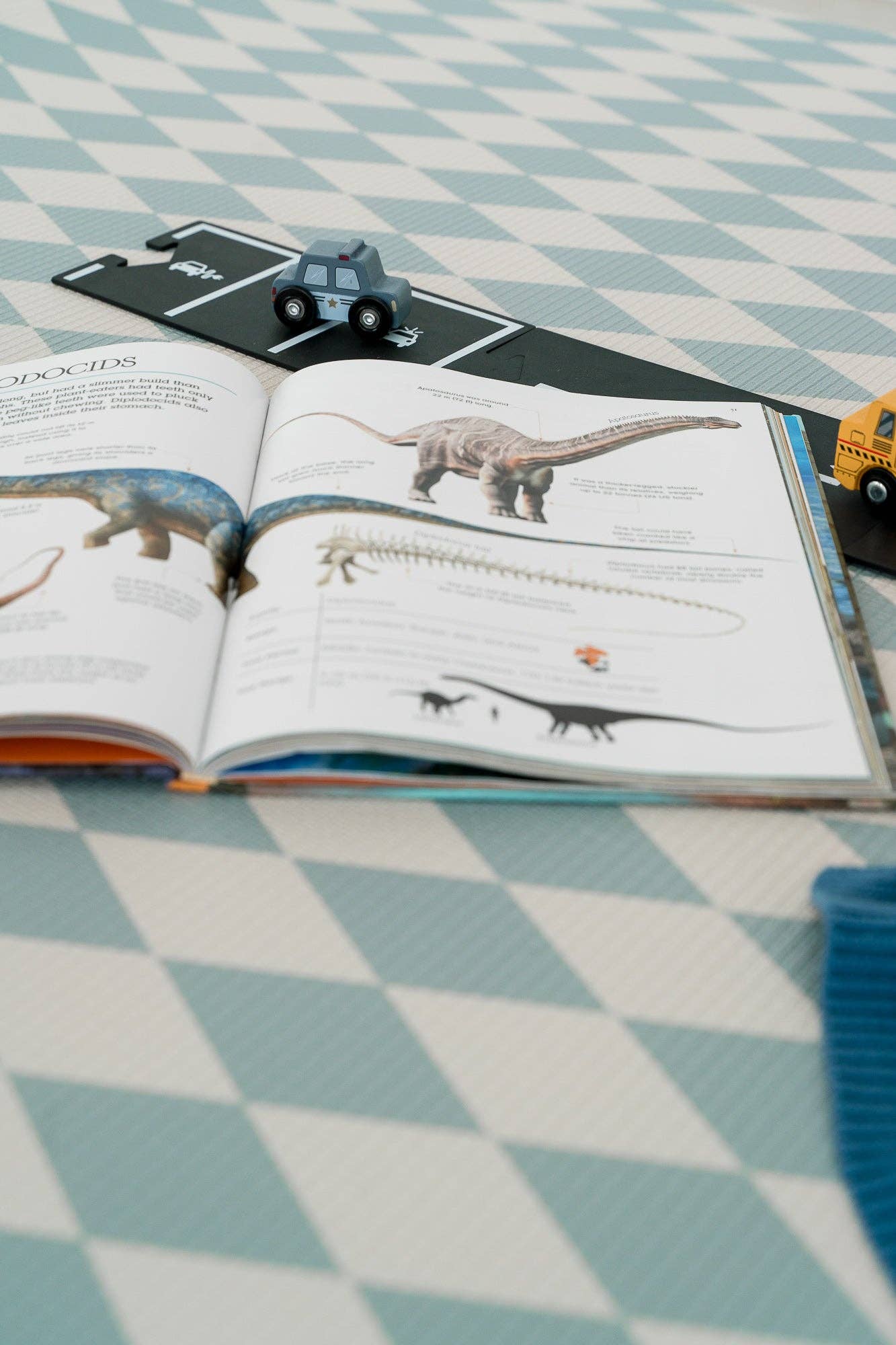 Townsend Avenue – Großhandel Spielmatte – Kind & Baby – Wendbare Schaumstoff-Spielmatte11