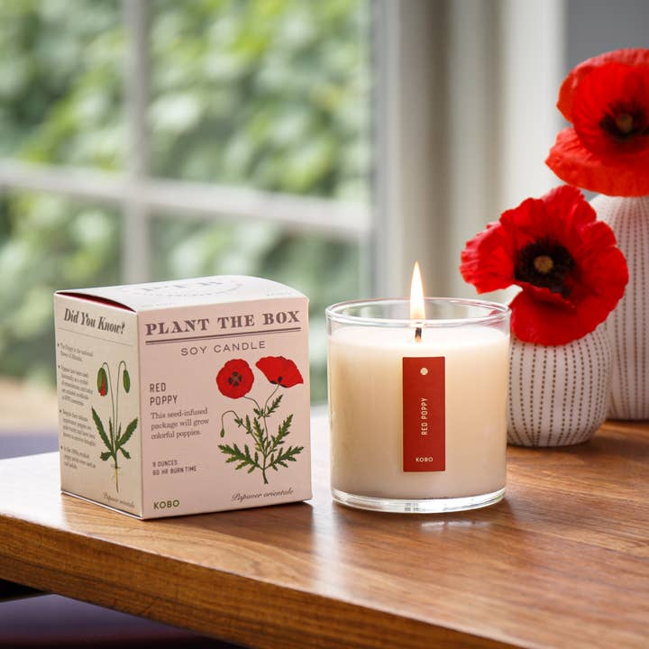 KOBO - Wholesale Jar/filled candle - Red Poppy - Plant the Box Candle - 9oz.1