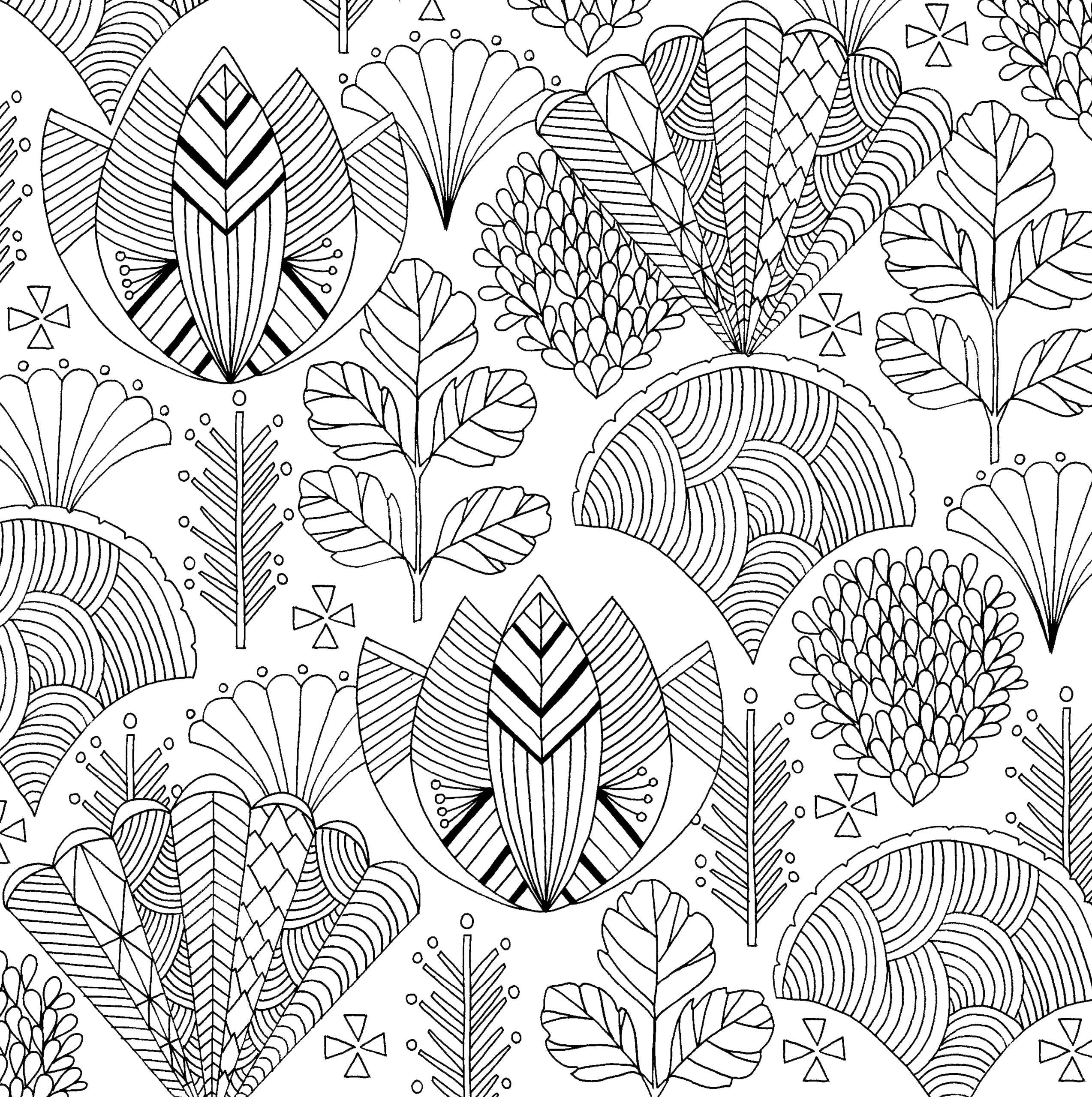 Peter Pauper Press - Wholesale Coloring & Activity Book - Adult - Follow Your Dreams Artist's Coloring Book6