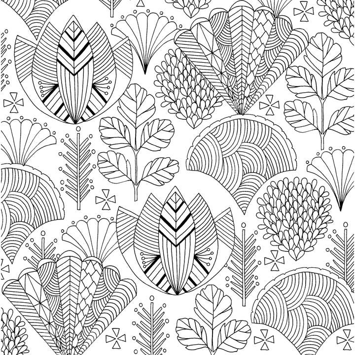 Peter Pauper Press - Wholesale Coloring & Activity Book - Adult - Follow Your Dreams Artist's Coloring Book6