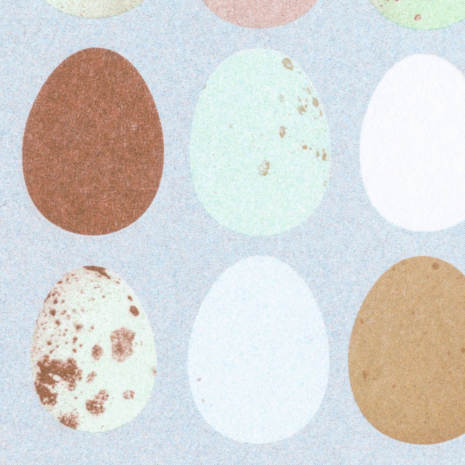 HERR & FRAU RIO – Engroshandel Postkort – Æg Natur Postkort2