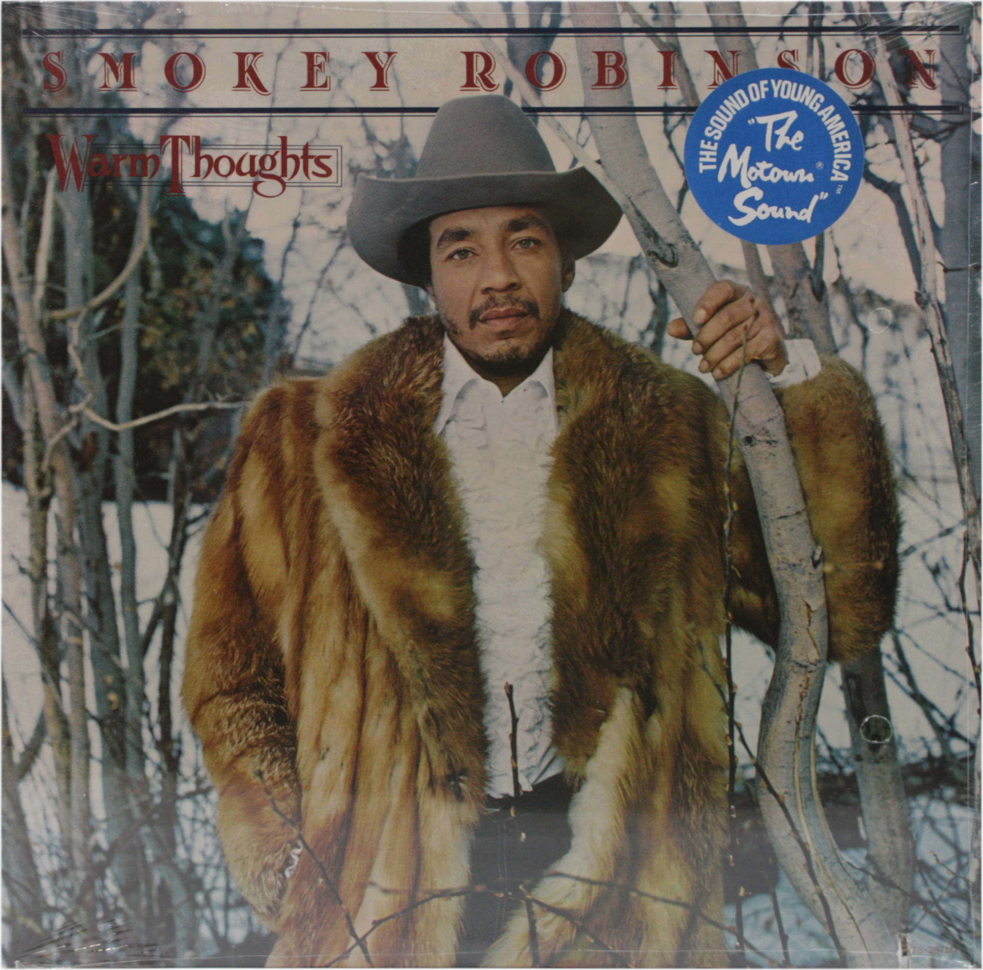 Square Deal Recordings & Supplies – wholesale Music CD/Vinyl – Vinyl - Sealed 12" LP - Robinson, Smokey - Warm Thoughts0