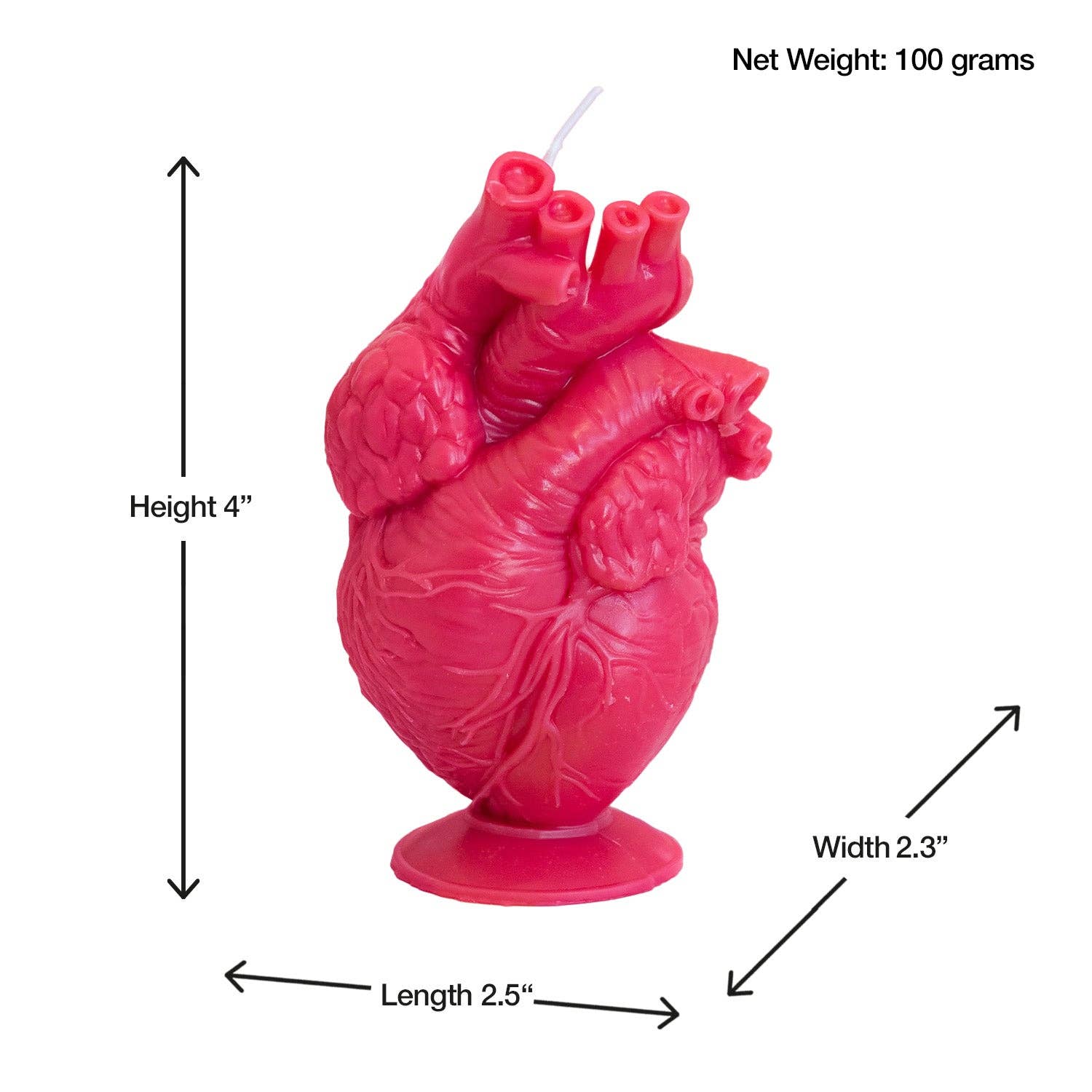 Candle Lume – wholesale Novelty candle – Anatomical Heart Candle5