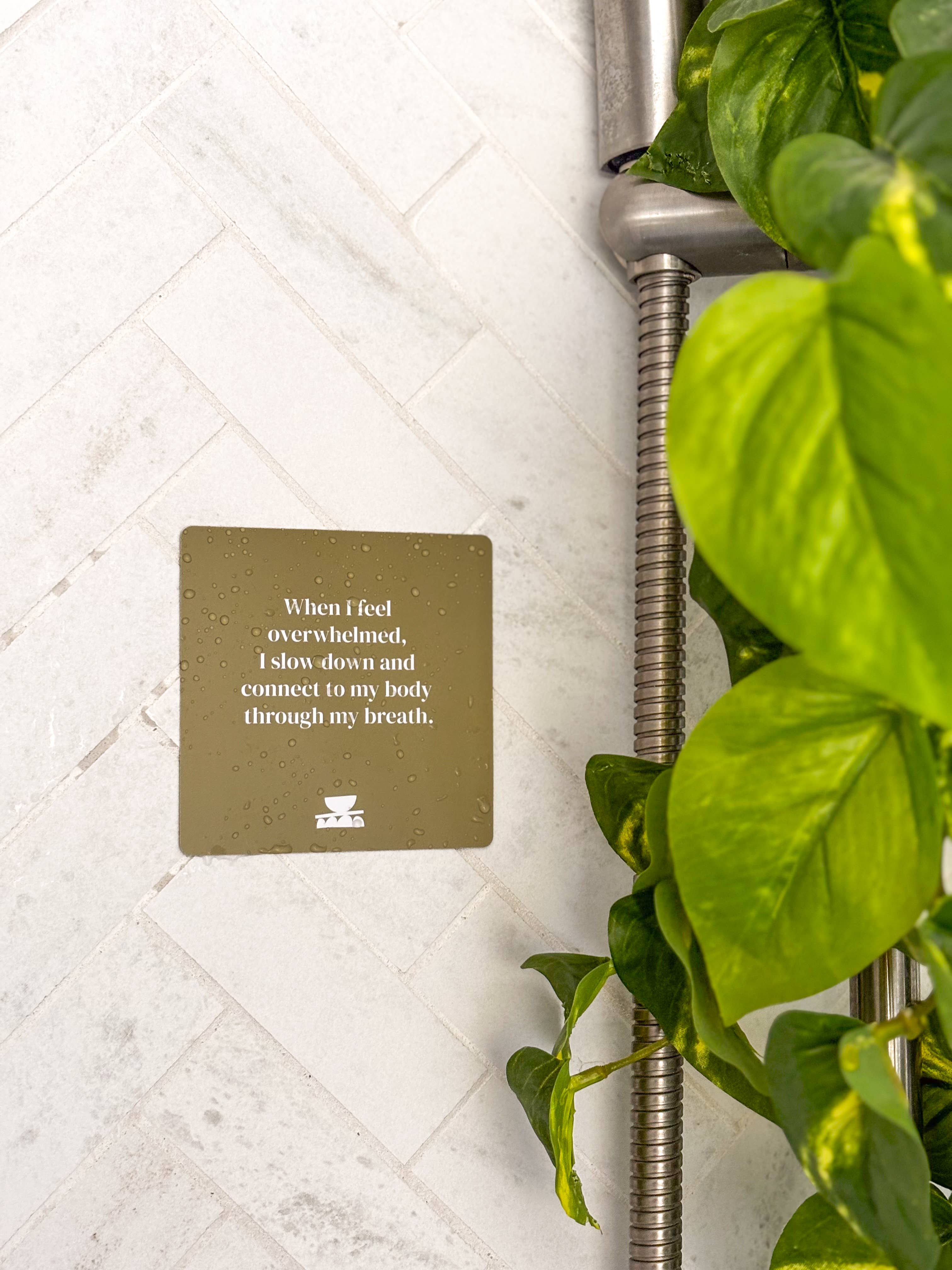 Goddess Provisions - Wholesale Bath & Body Set - Grounding Shower affirmations3