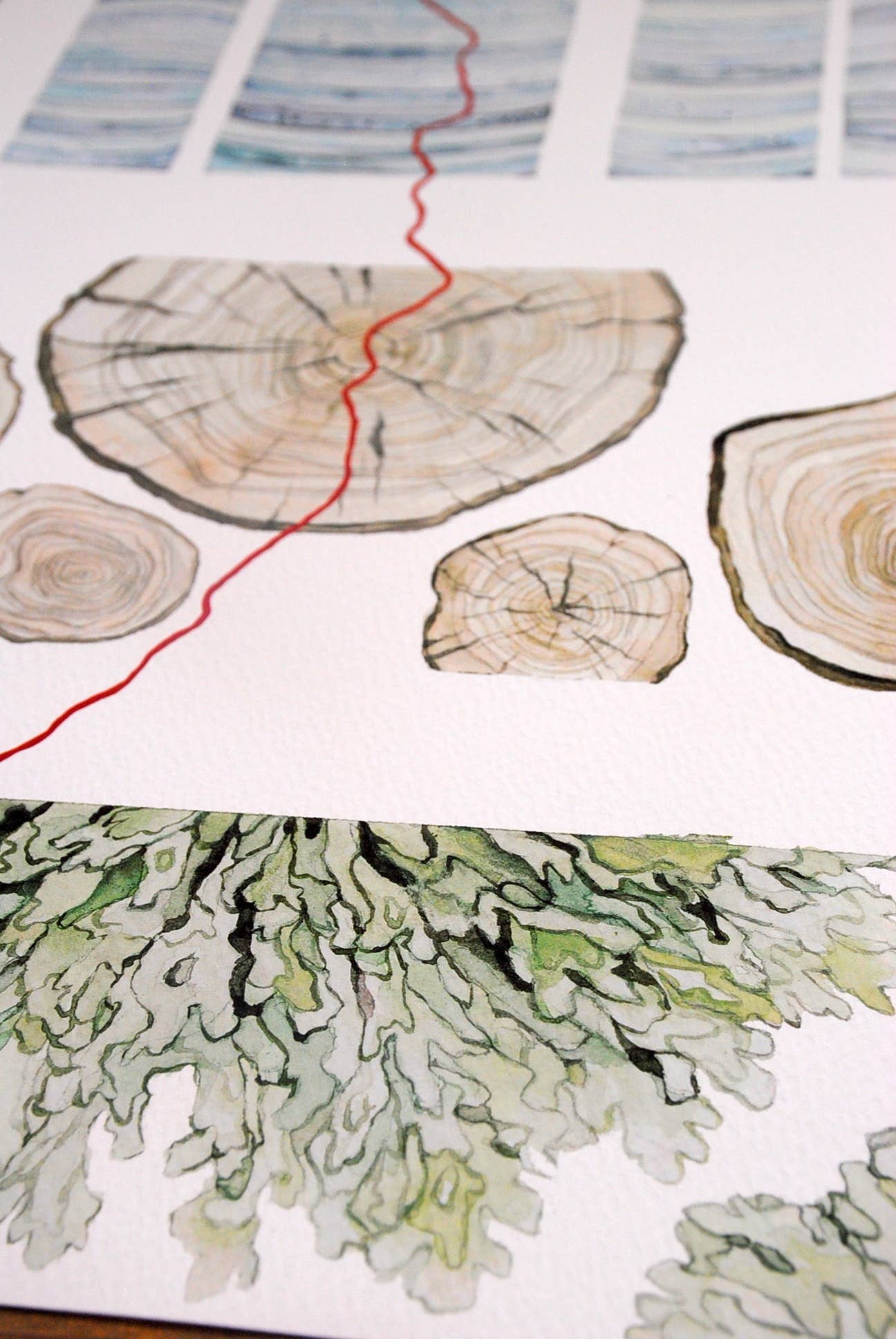 Jill Pelto Art - Wholesale Art Print - Ice Core, Tree Rings, and Lichen Art Print3