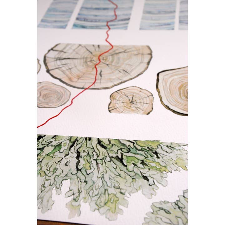 Jill Pelto Art - Wholesale Art Print - Ice Core, Tree Rings, and Lichen Art Print3