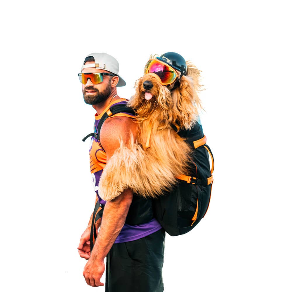 Negro Mochila Brodie One Big Dog de venta al por mayor en Faire