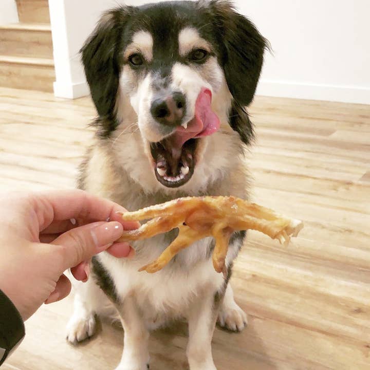 Naked Beasts, Inc. - Wholesale Pet Treats - Dog - Chicken Feet