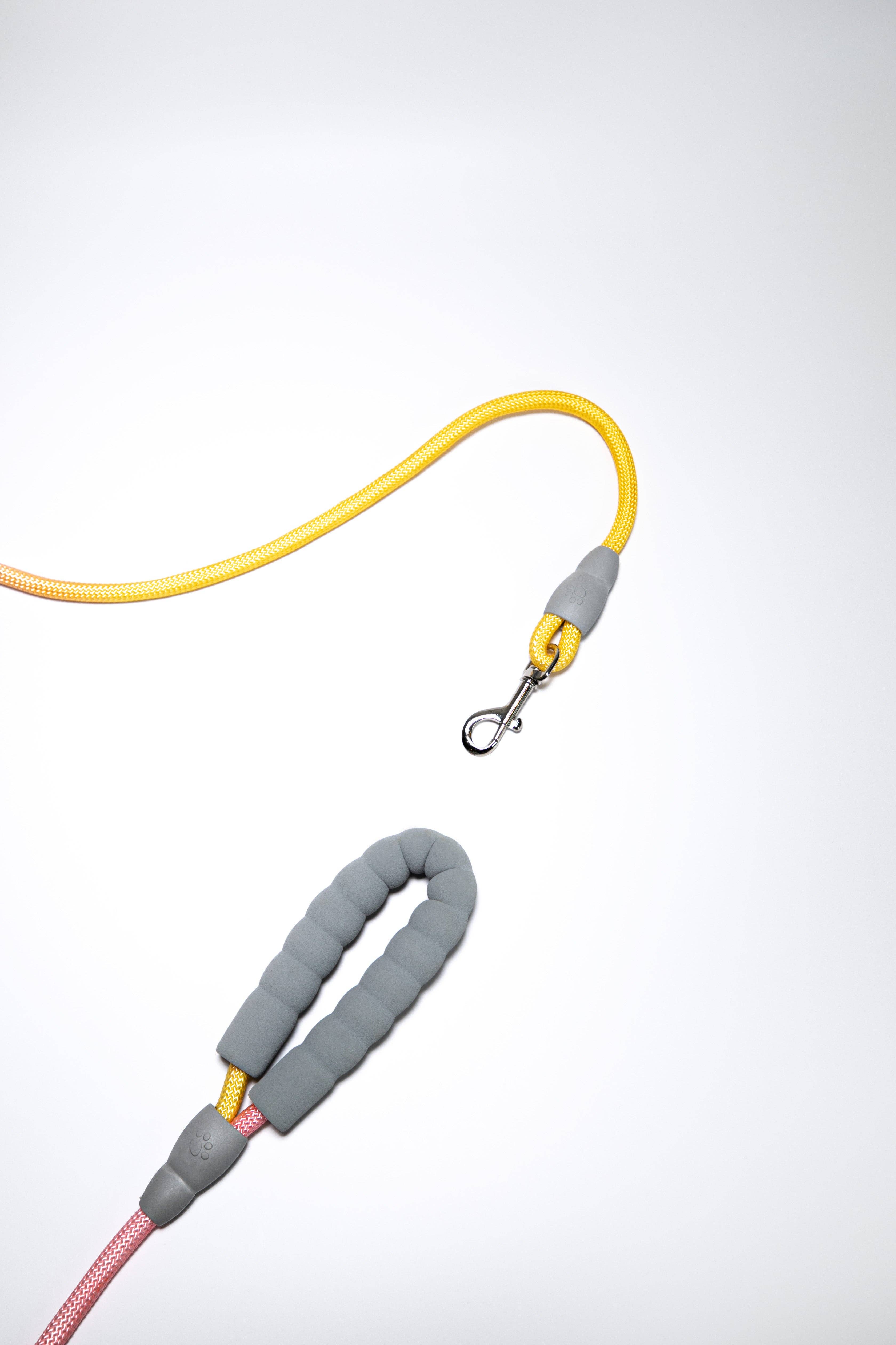 Mochaaaa – Engroshandel Hundesnor - Hund – Gradient farvet hundesnor med polstret håndtag7