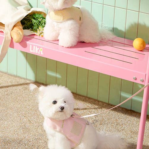 Reversible Dog Harness Yellow for wholesale by Likapaws / Heinemann Trading GbR