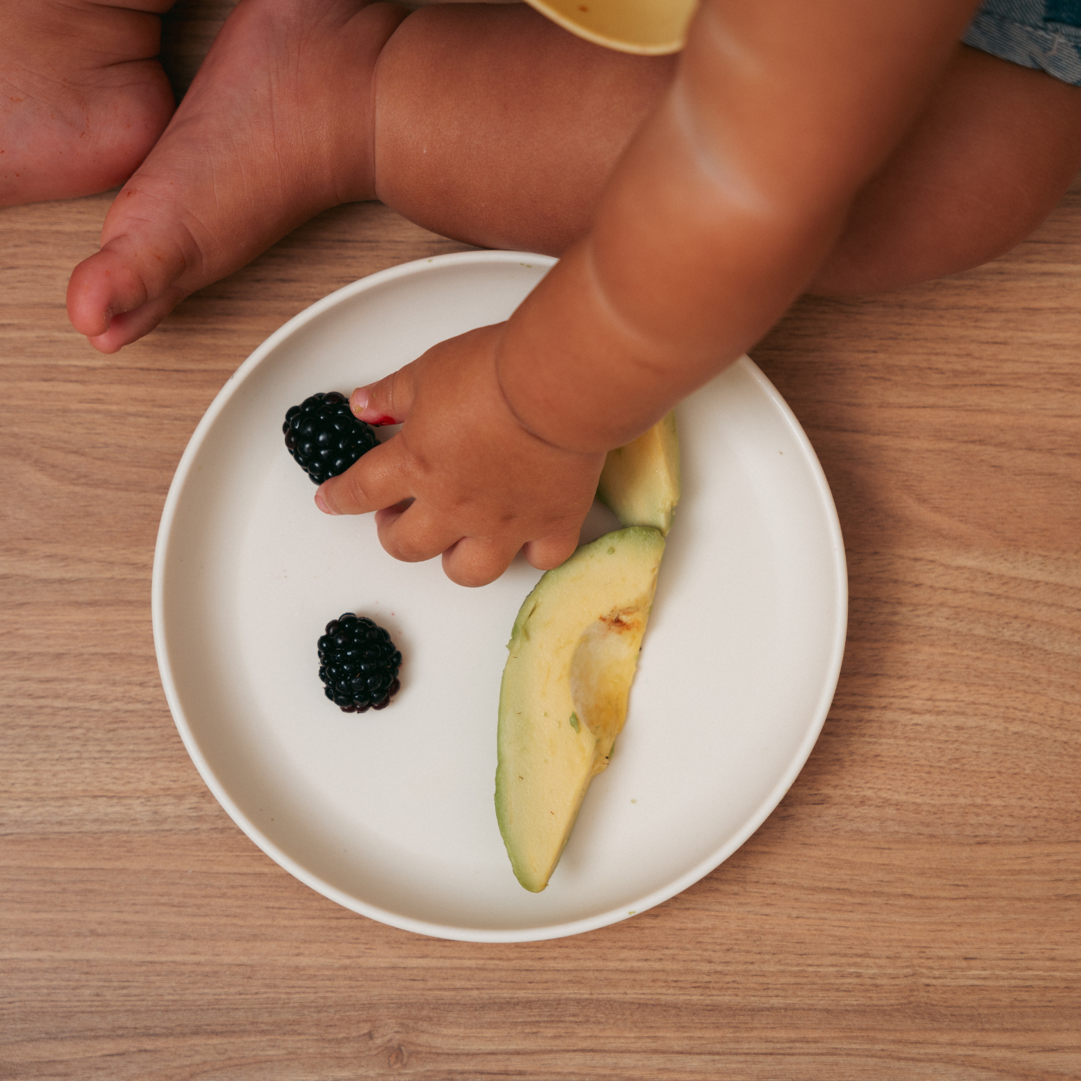 Rommer - Wholesale Dinner Plate - Kids & Baby - Plate12