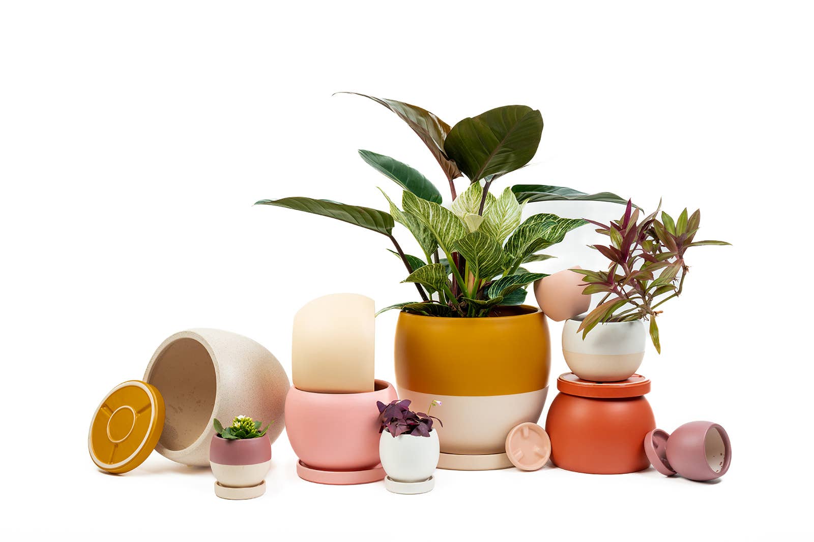 Momma Pots - Wholesale Plant Pot - 8" (1 pc) +12" (1 pc) Bollé Pots w/Water Saucers19