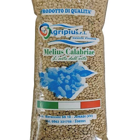 agripiusrl – Großhandel Bohnen – Eston-Linsen 25 kg
