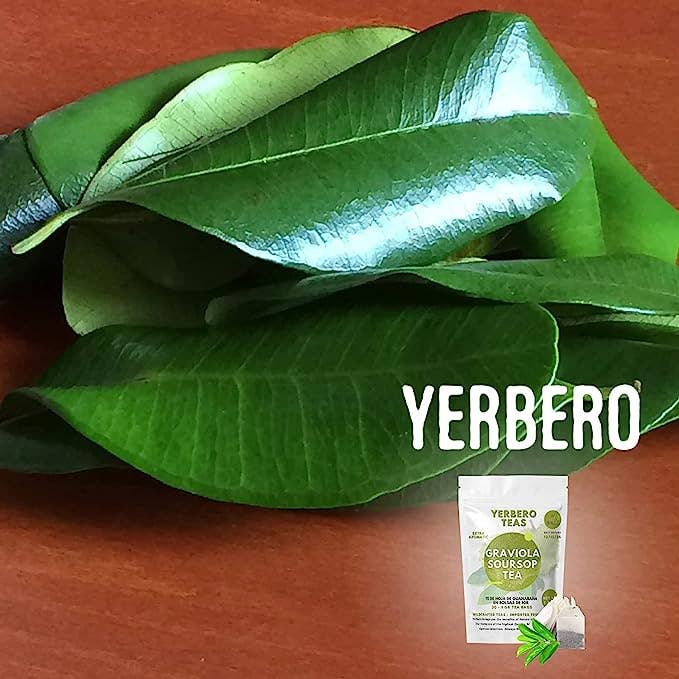YERBERO - Wholesale Loose Tea - Yerbero - Whole Dried Graviola Soursop Leaves (4 oz - 330+ Leaves Per Bag) Hoja De Guanabana Seca2