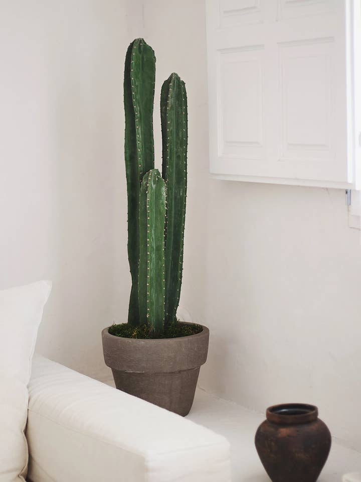 3.5' Cactus Artificial Plant for wholesale by Maia Shop: No Duties for the US