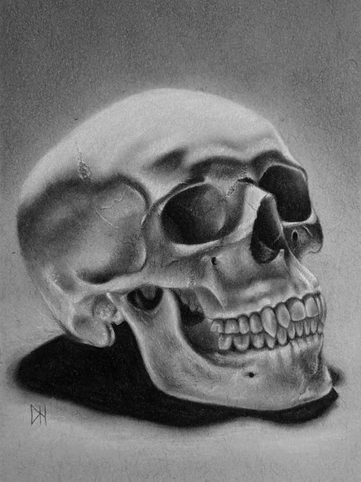 Kunstdruck „Skull Study 03" für den Großhandel von Destiney Hett Art