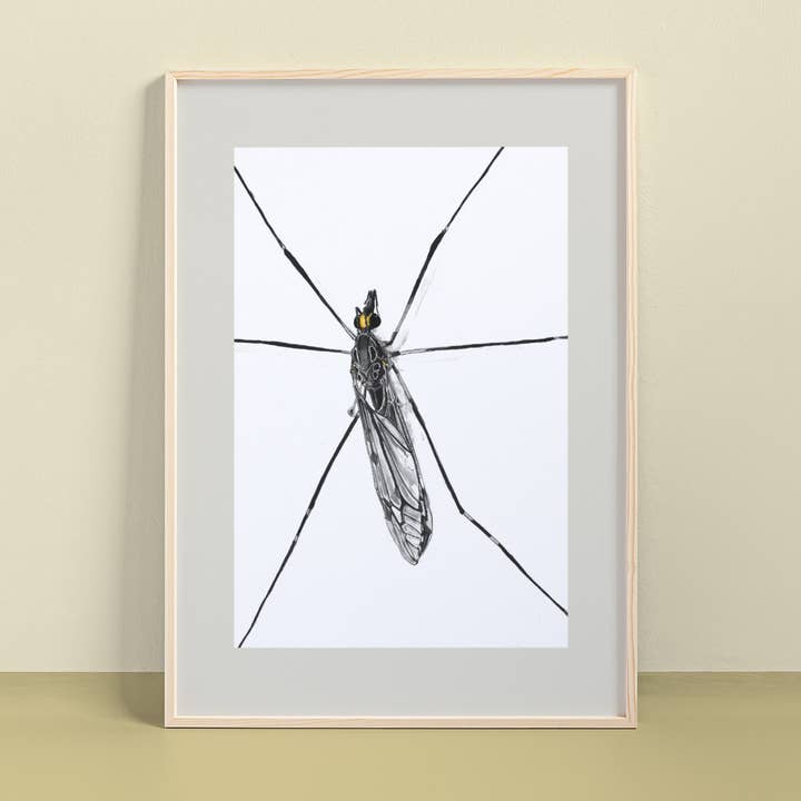 Jättekranfluga (Tipula abdominalis) Konsttryck för wholesale av resetreality