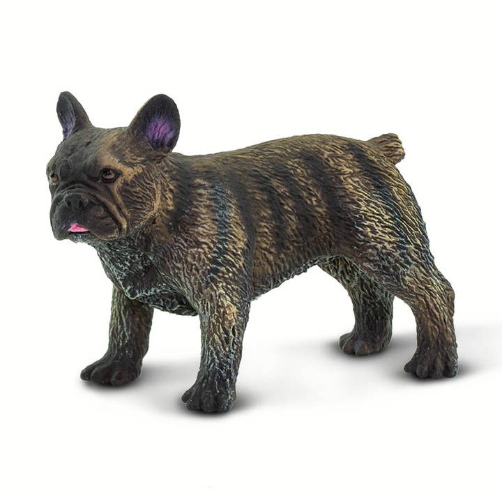 Französische Bulldogge - 100304 für den Großhandel von Safari Ltd.