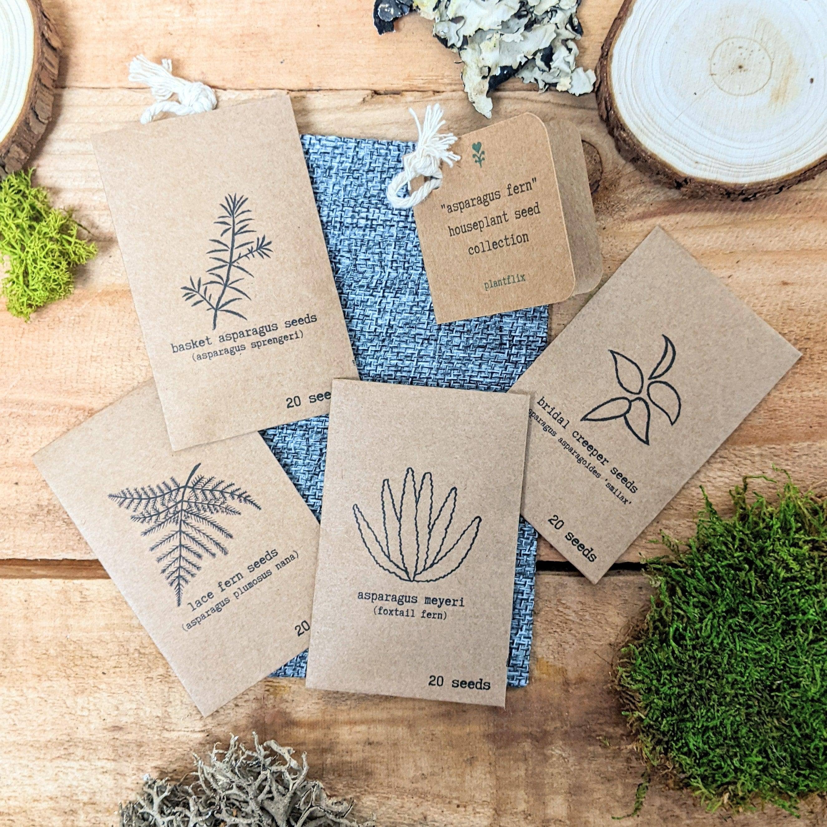 Plantflix - Wholesale Plant Seeds - Houseplant Seed Collections1