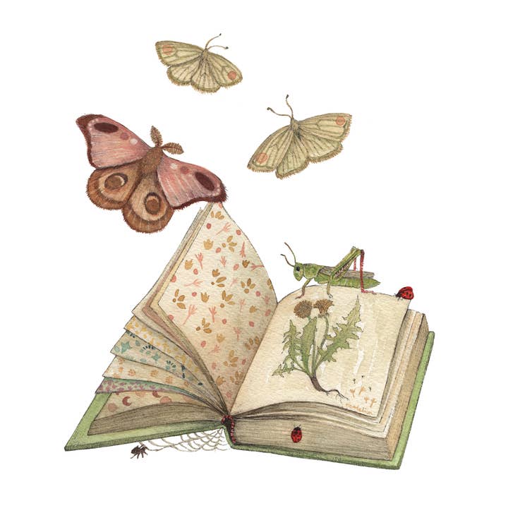 8"x10" Print - Woodland Home: Freya's Book for wholesale by Polanshek of the Hills