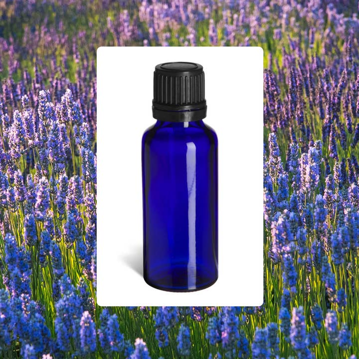 Lavender Beads - Wholesale Essential Oil - Lavender Essential Oil 30ml - For Aromatherapy Bracelets1