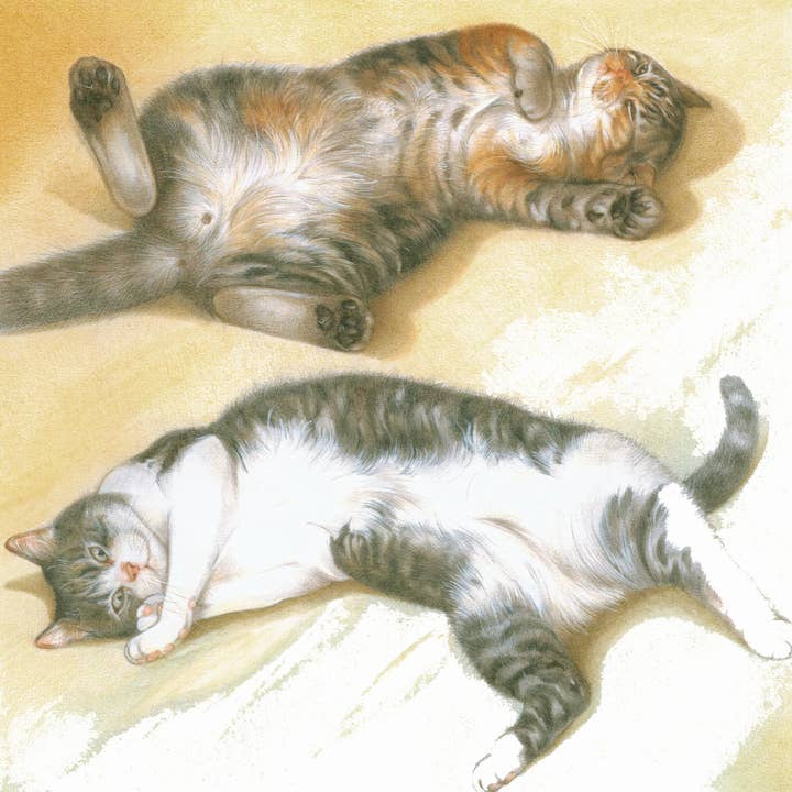 Square card - Just laze around, nothing to be ashamed of. for wholesale by Animal Prints