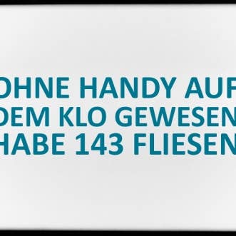 17;30 - Wholesale Magnet - Magnet, 79 x 53 mm, without mobile phone on the toilet