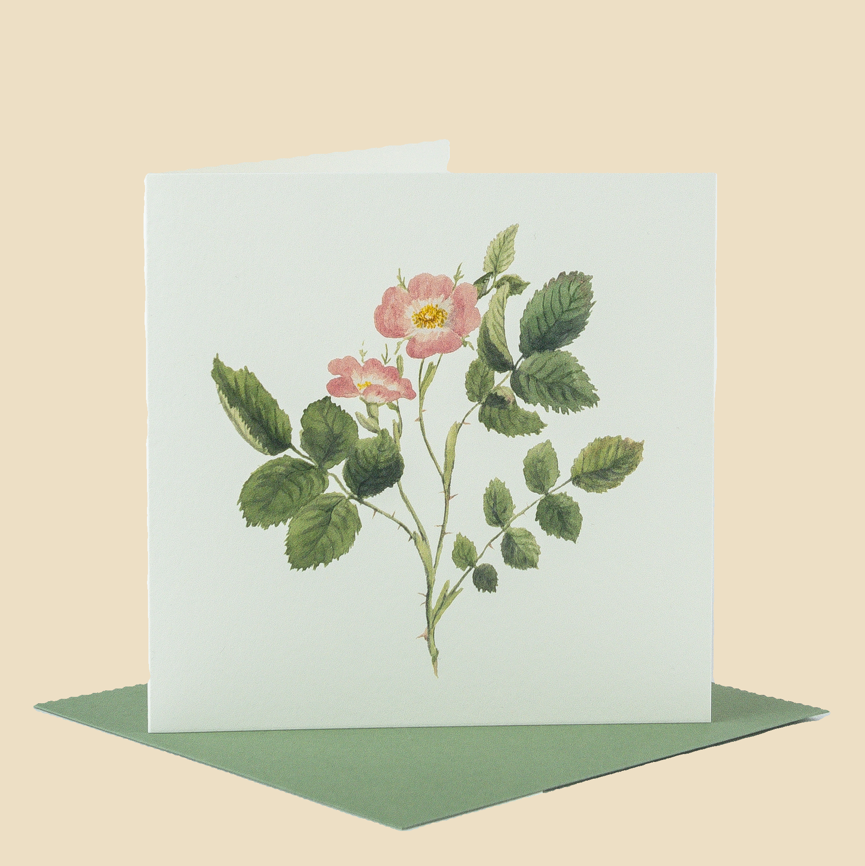 Sophia Davenport - Wholesale Everyday Greeting Card - Wildflower Greeting Cards and Notelets16